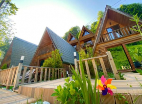 ELASYA BUNGALOV